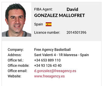 David fiba revised.jpg